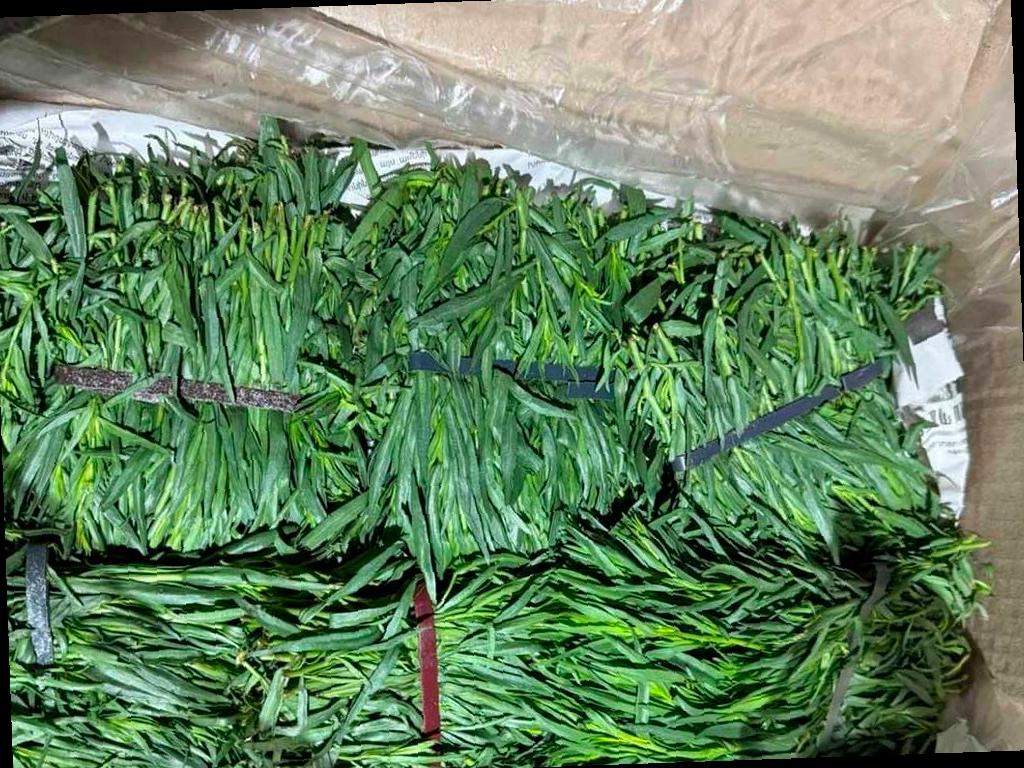 В Сочи задержали партию тархуна из Армении, зараженную опасным вредителем