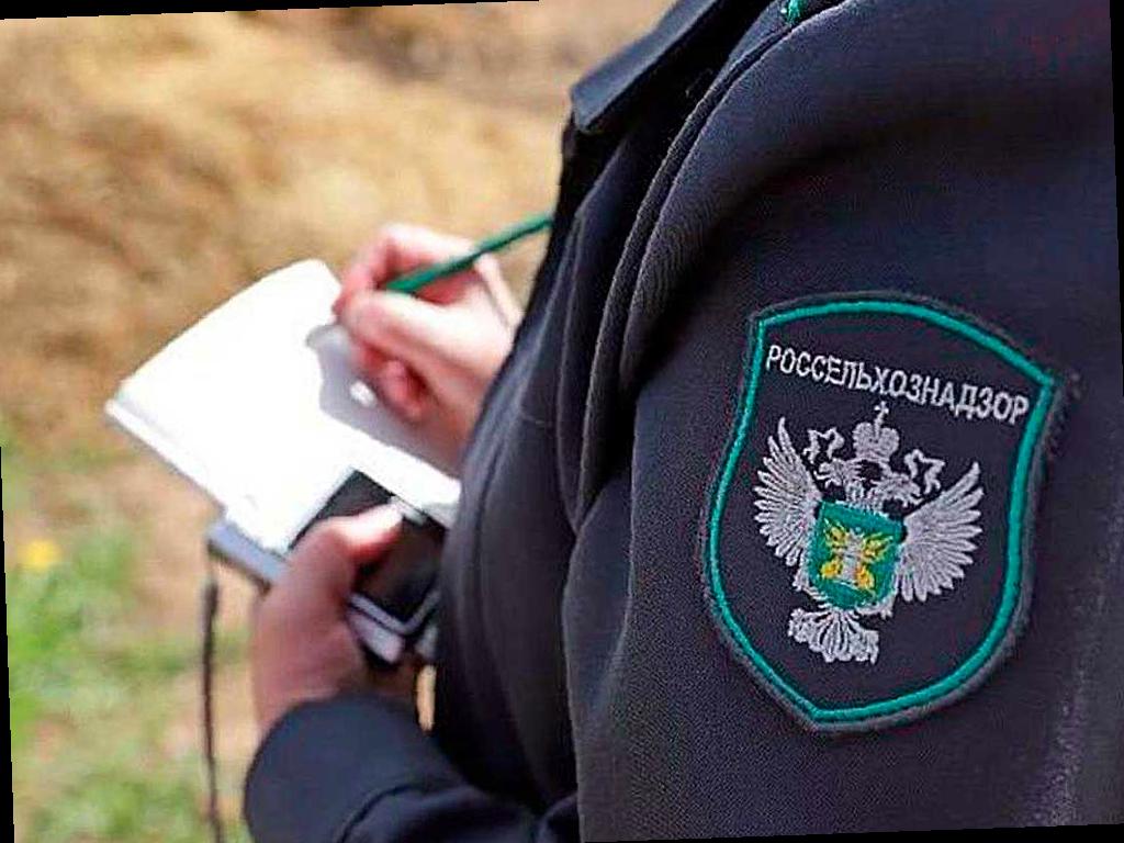 В Адыгее выявлены 7 зон распространения опасного сорняка