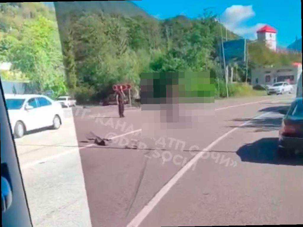 Мотоциклист погиб в аварии на трассе Красная Поляна