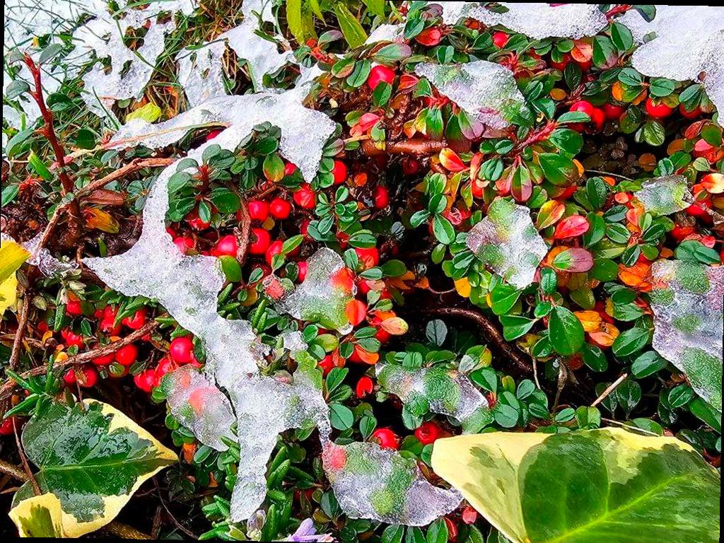 Холодный период наступает в Сочи