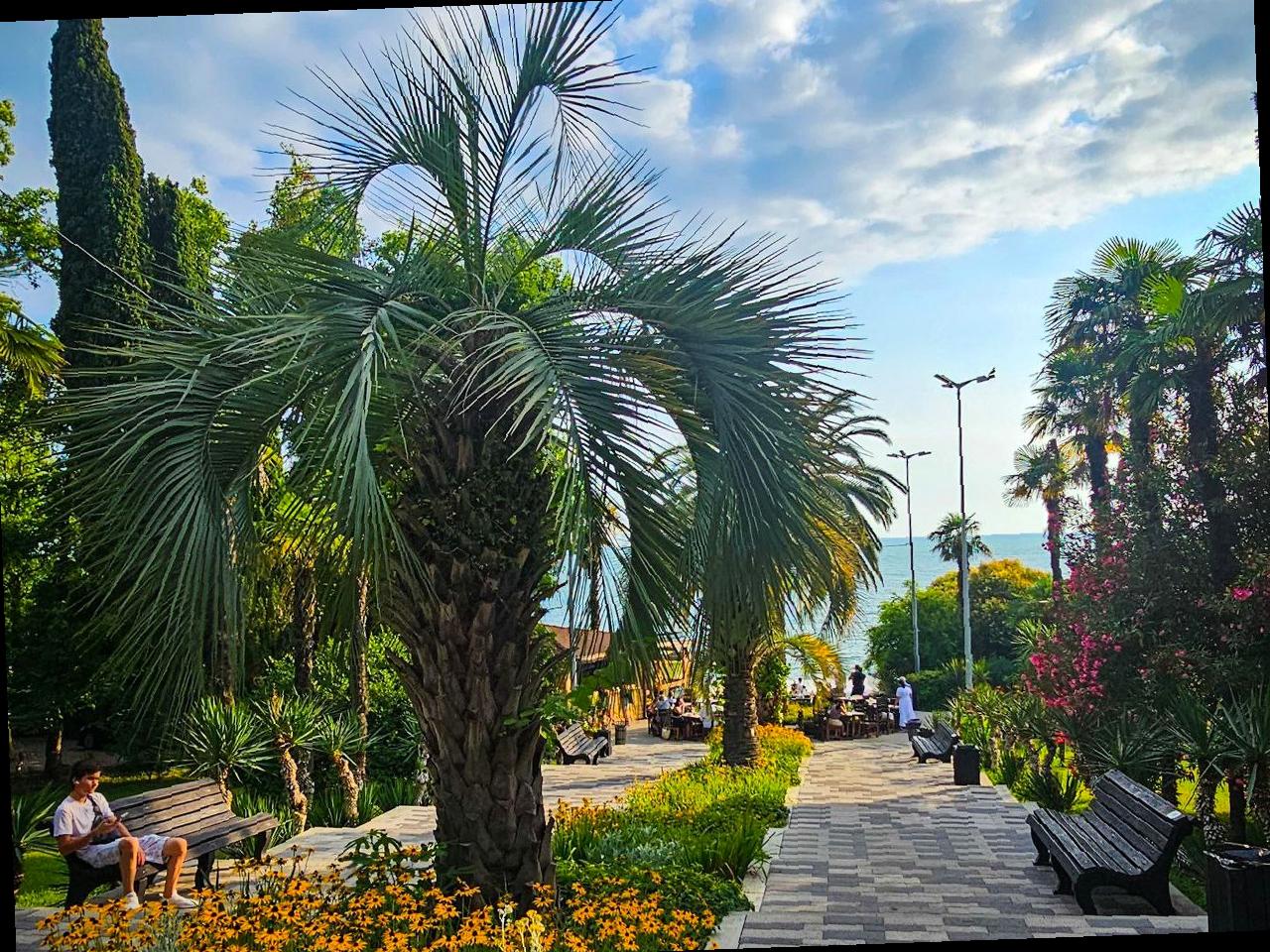 Рост туристов в Сочи: новые рекорды ожидаются к 2025 году