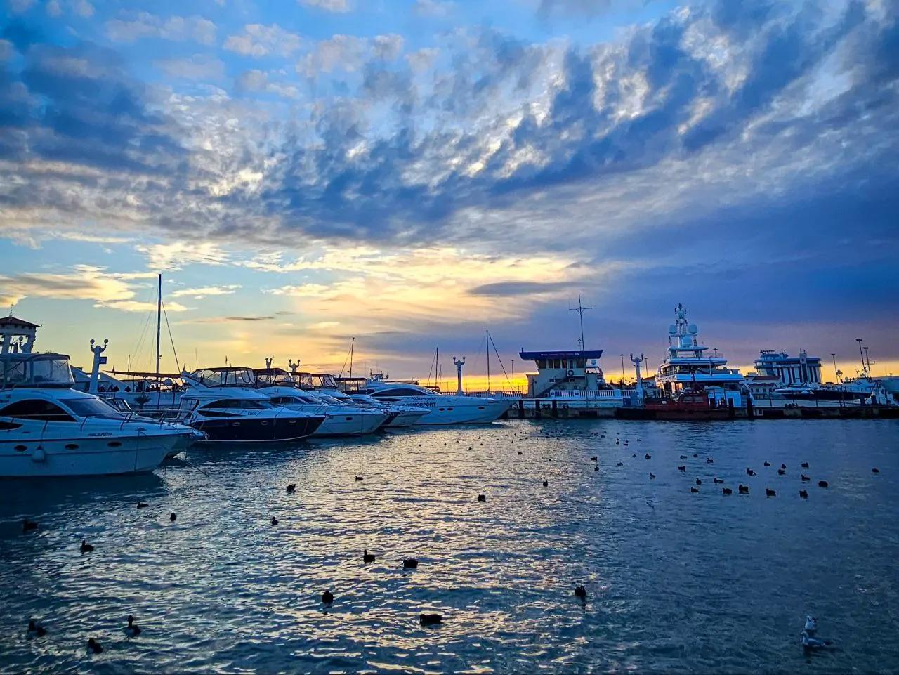 Идеальные мартовские каникулы в Сочи: природа, уют и расслабление