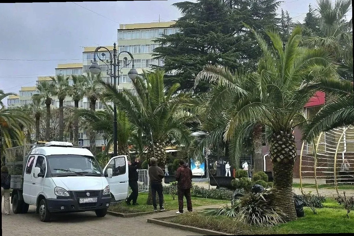 В Сочи начали подготовку пальм к курортному сезону