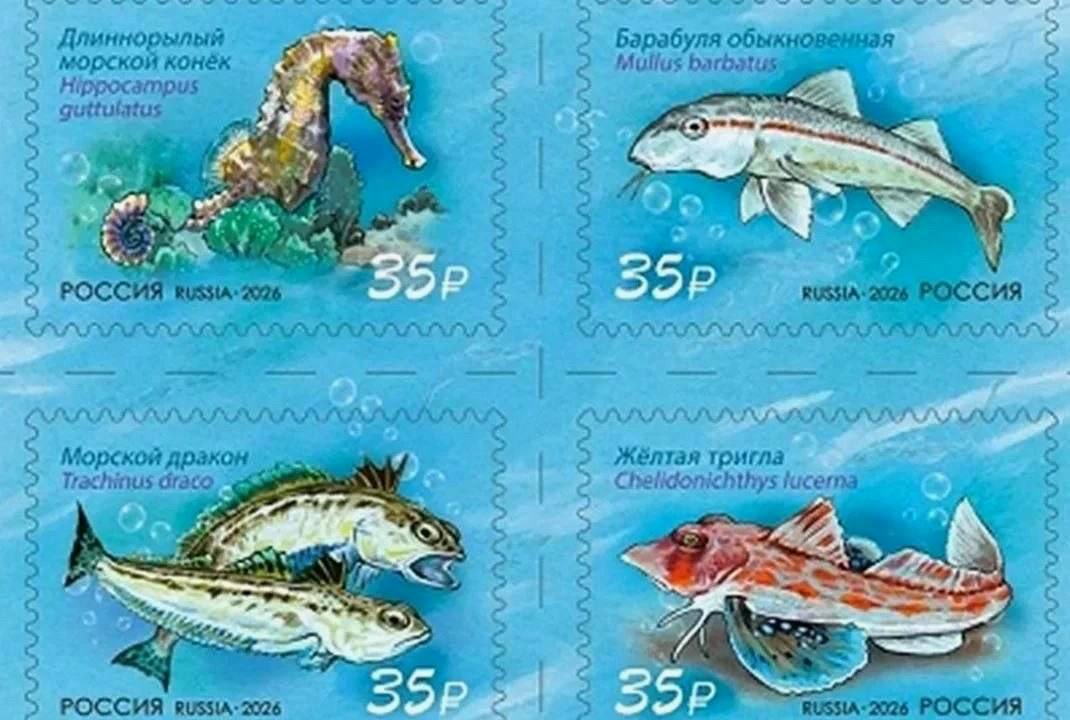 Почта России выпустила почтовые марки с черноморскими животными