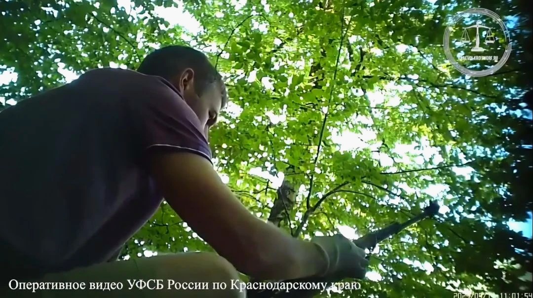 Приговор за незаконное хранение и сбыт оружия в Сочи